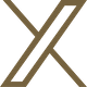 X icon